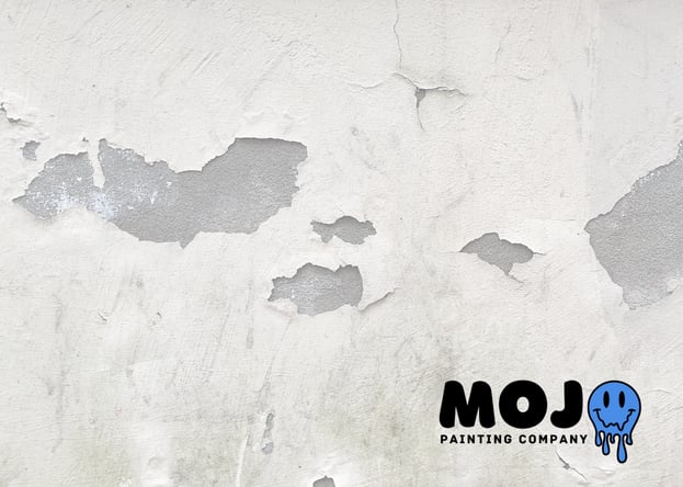 mojo painting company best collegeville painter